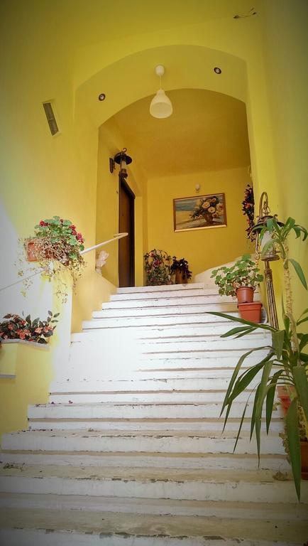 براشوف Fantasy Residence المظهر الخارجي الصورة